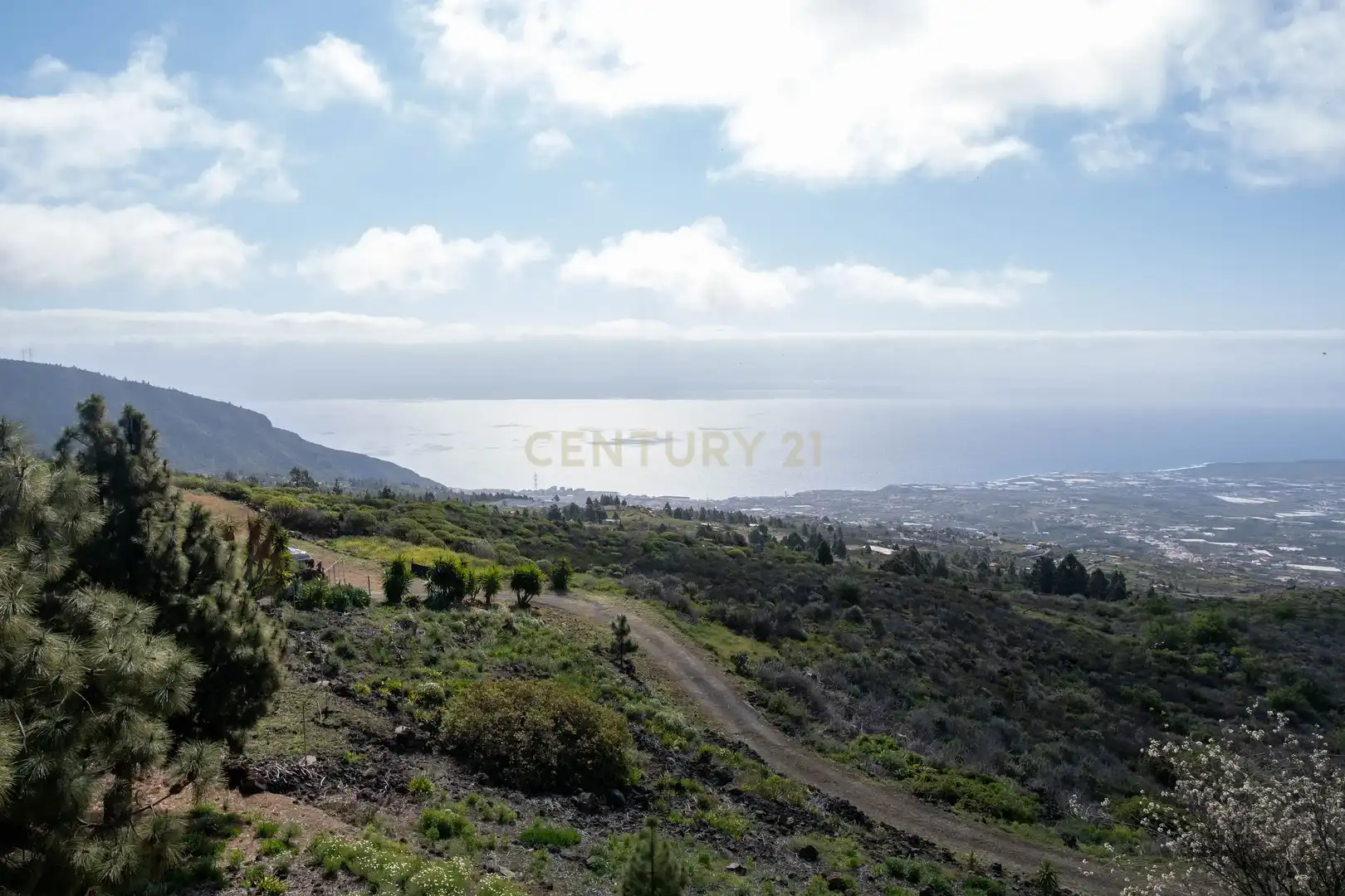 House with terrace for sale in Arafo, Spain, imagen 64