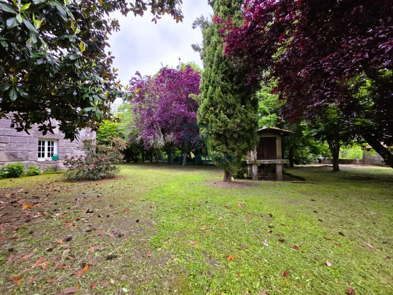 Jardí de Casa o xalet en venda en Ourense Capital  amb Calefacció i Jardí privat
