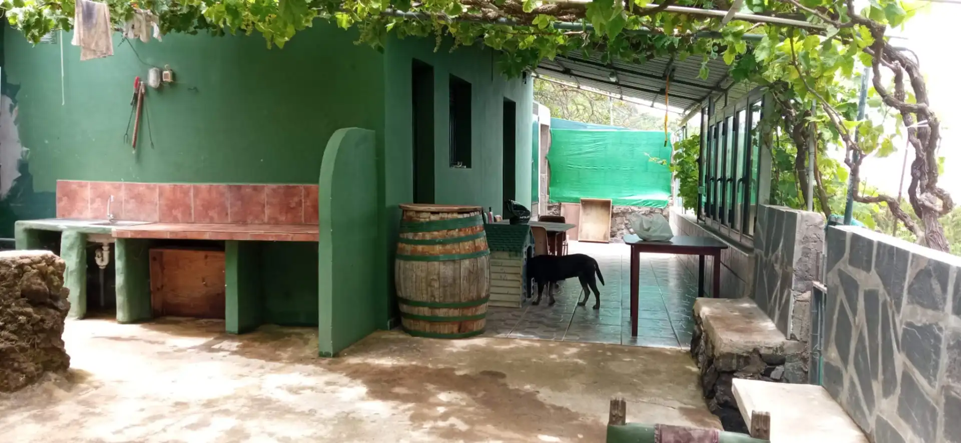 Terreno rústico en venta en Calle los Castaṅos 34, imagen 4