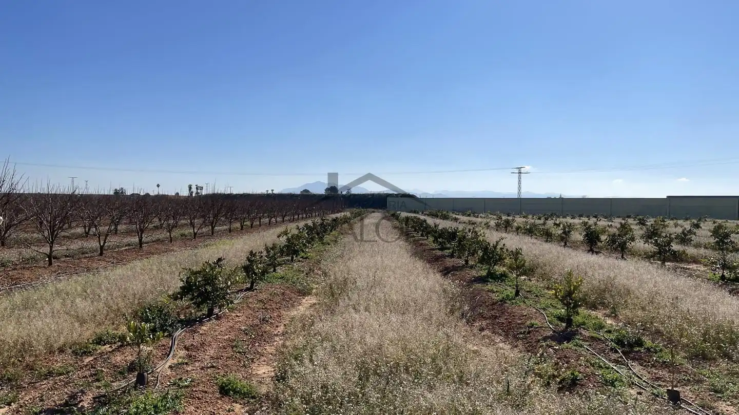 Maison rustique avec terrasse à vendre à Guadassuar, imagen 37