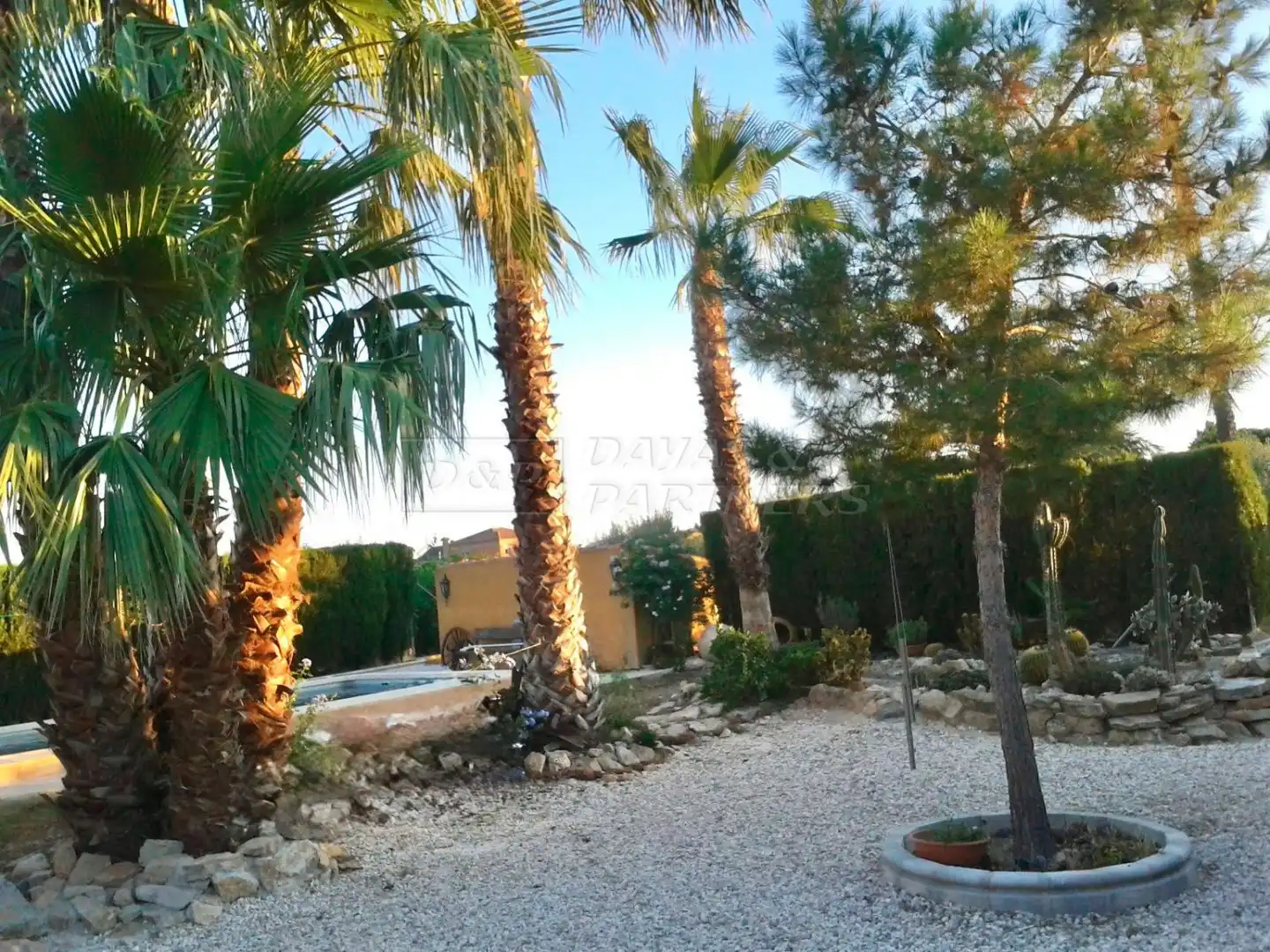 Vista exterior de Finca rústica en venta en Orihuela con Piscina