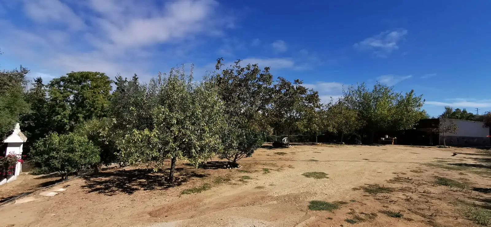 Villa zum Verkauf in Carretera de la Estación 44, imagen 5