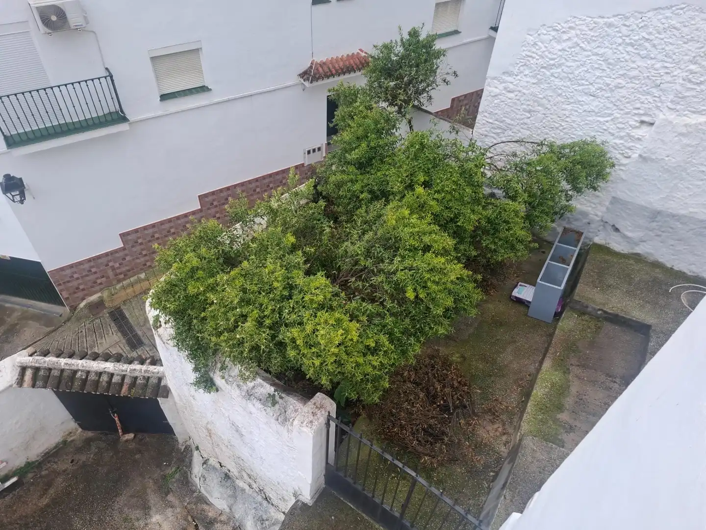 Jardí de Casa o xalet en venda en Tolox amb Terrassa