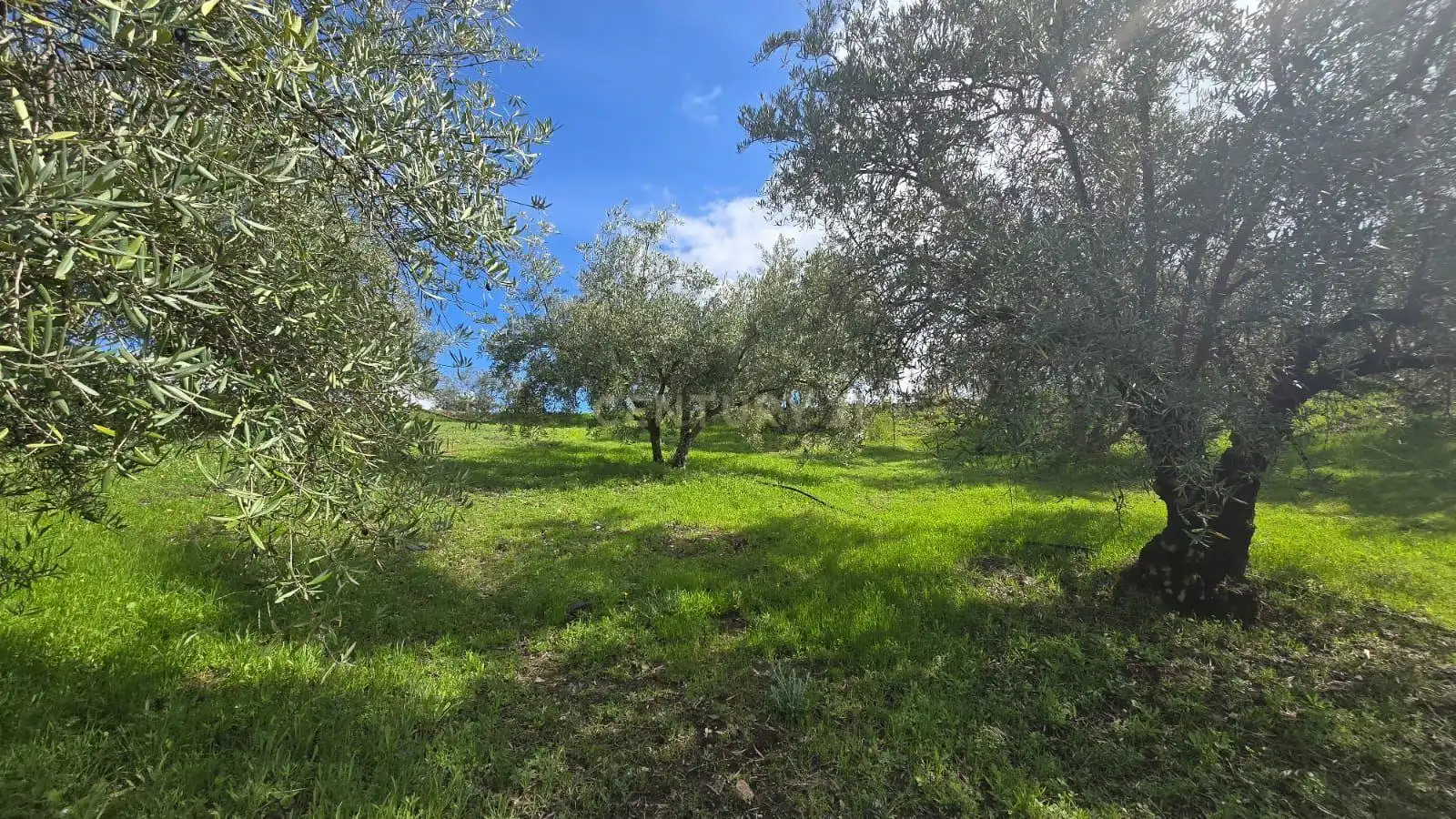 Terreno rustico in vendita a Polígono 11 Parcela 117 EL CERRILLAR. LOS GUAJARES (GRANADA)
