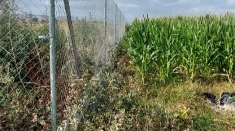 Foto 3 de Terreno en venta en Urbanización la Romana, 17, Ambroz, Vegas del Genil