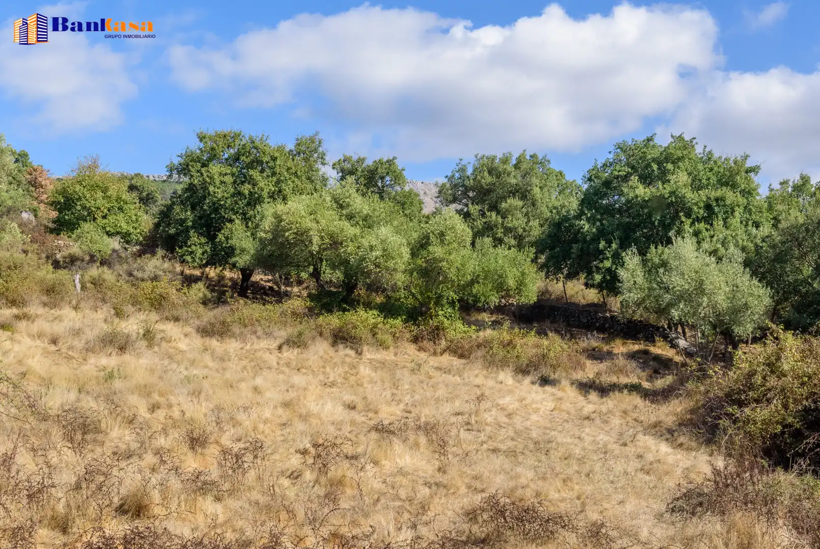 Casa o xalet en venda en Cortes de la Frontera amb Calefacció, Jardí privat i Moblat