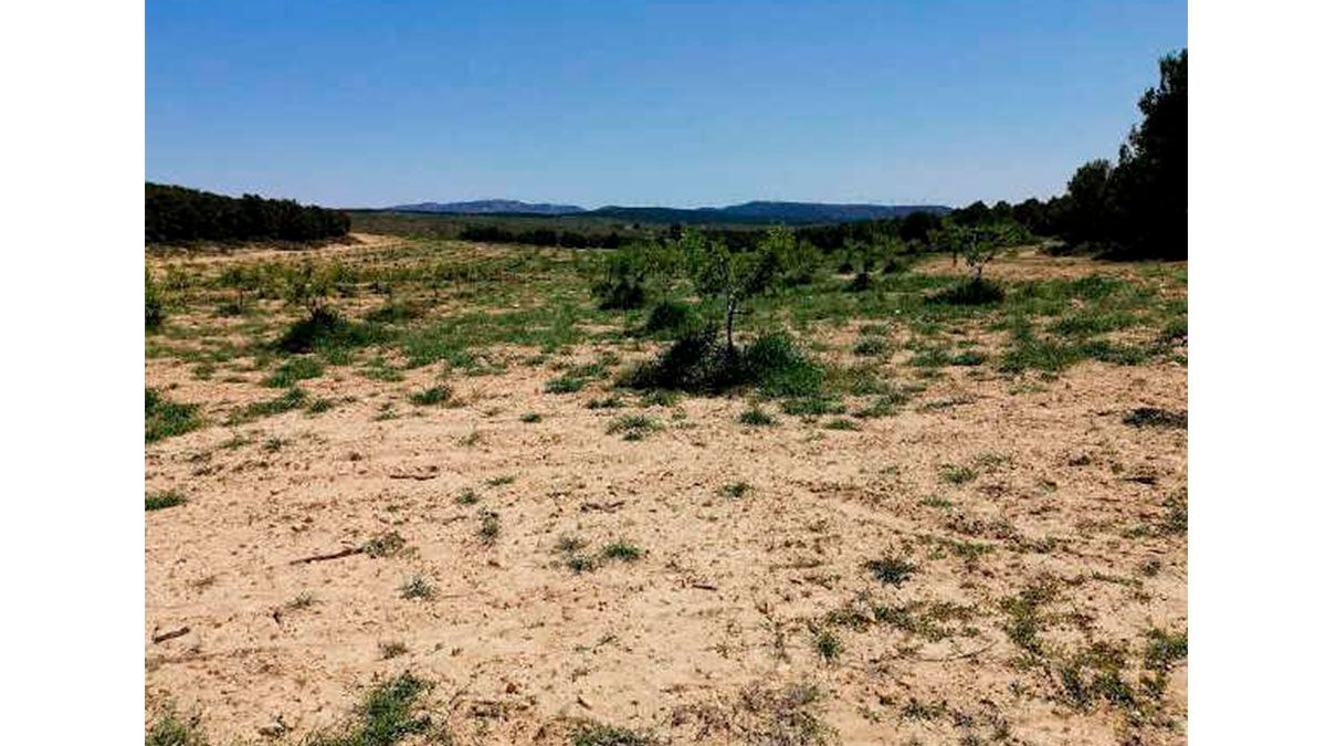 Residencial en venda en Almansa