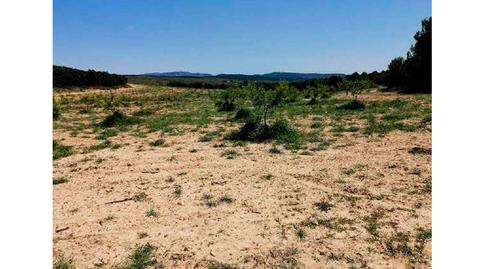 Foto 3 de Residencial en venta en Finca Rustica en Pje Dehesa Jodar las Sierras Pg 4, 41, Almansa, Albacete