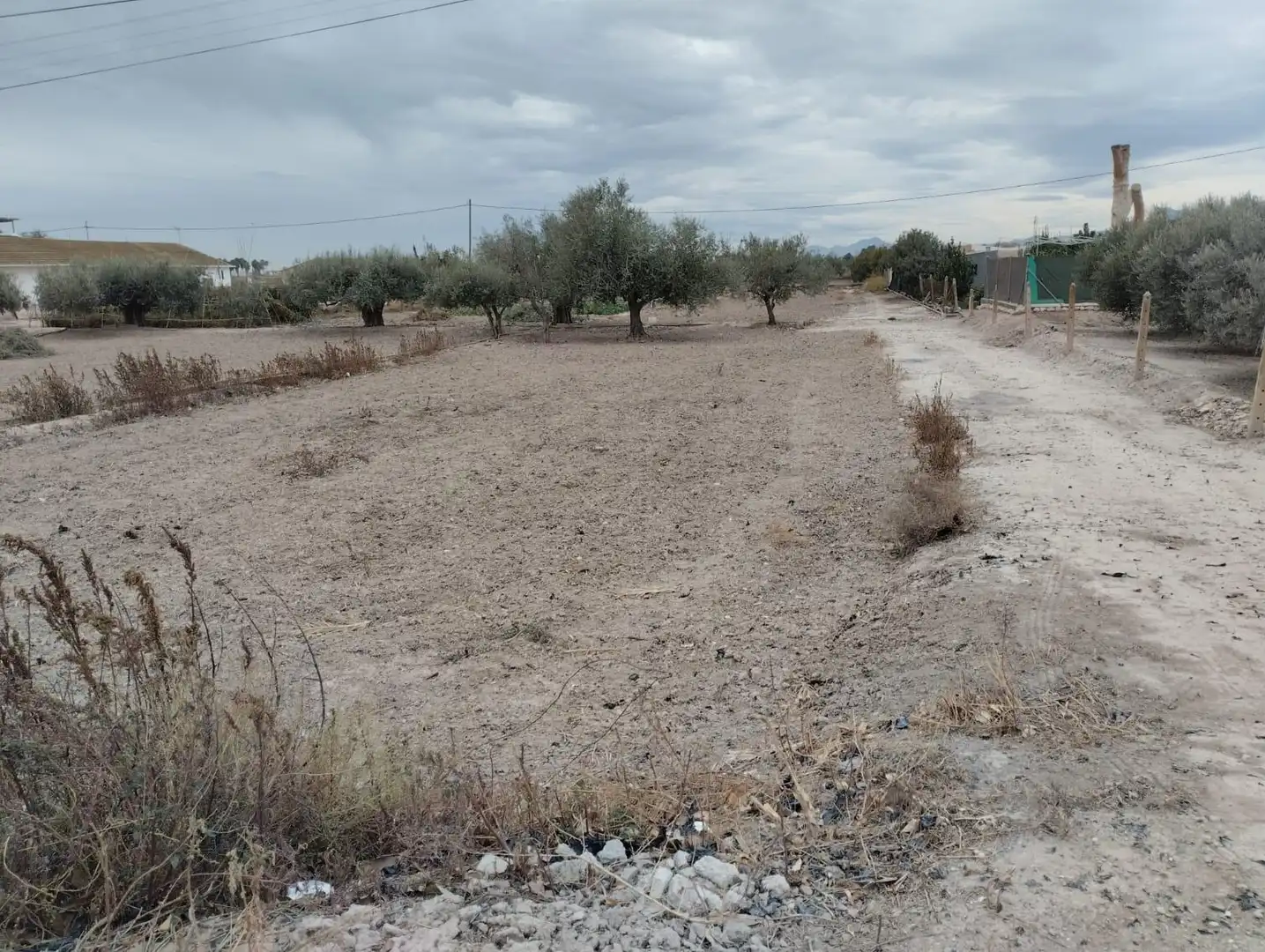 Land for sale in Lorca