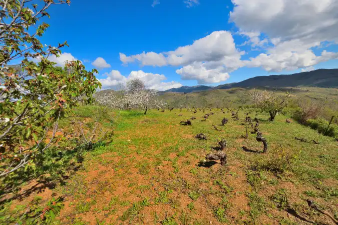 Country house zum Verkauf in Ronda mit Privatgarten