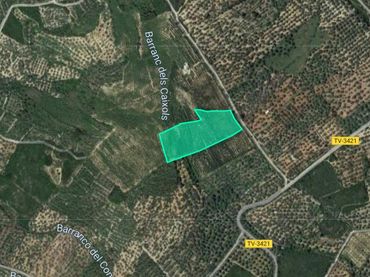 Terrain rustique à vendre à Pt Sinyoles o Carxols