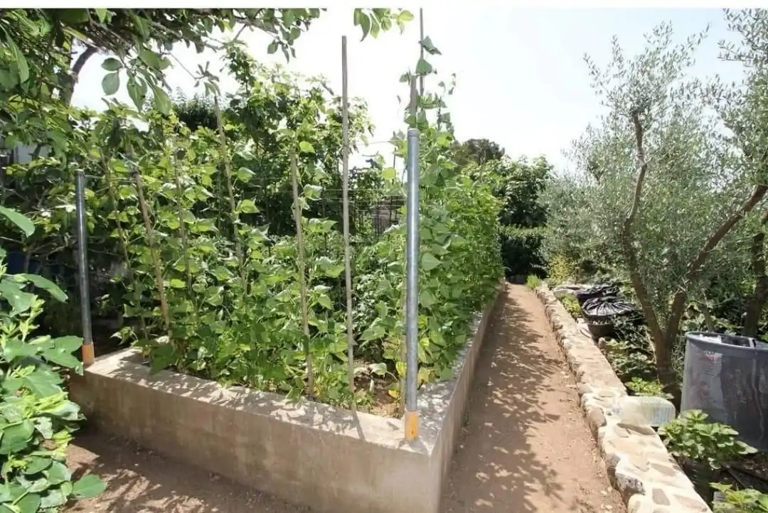 Garden of Country homes for sale in Maçanet de la Selva  with Air Conditioner, Heating and Private garden