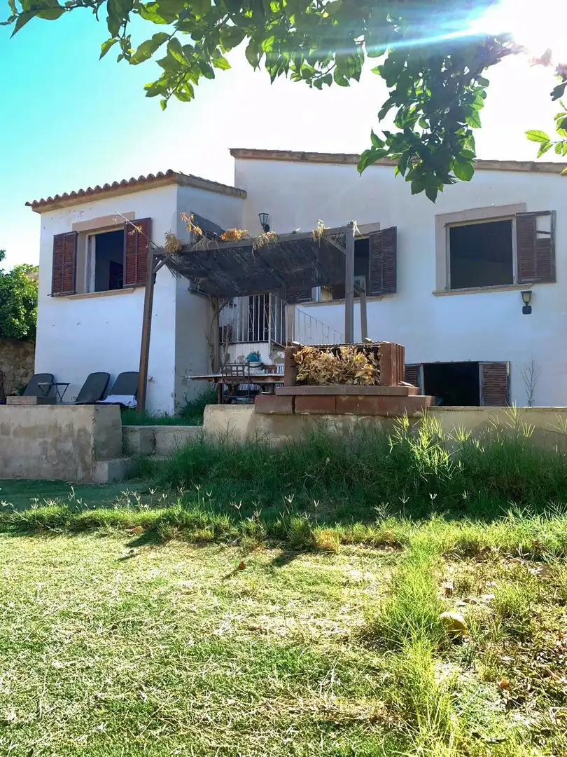 Jardí de Casa o xalet en venda en  Palma de Mallorca amb Piscina