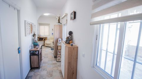 Foto 4 de Finca rústica en venda a Belvís de la Jara, Toledo