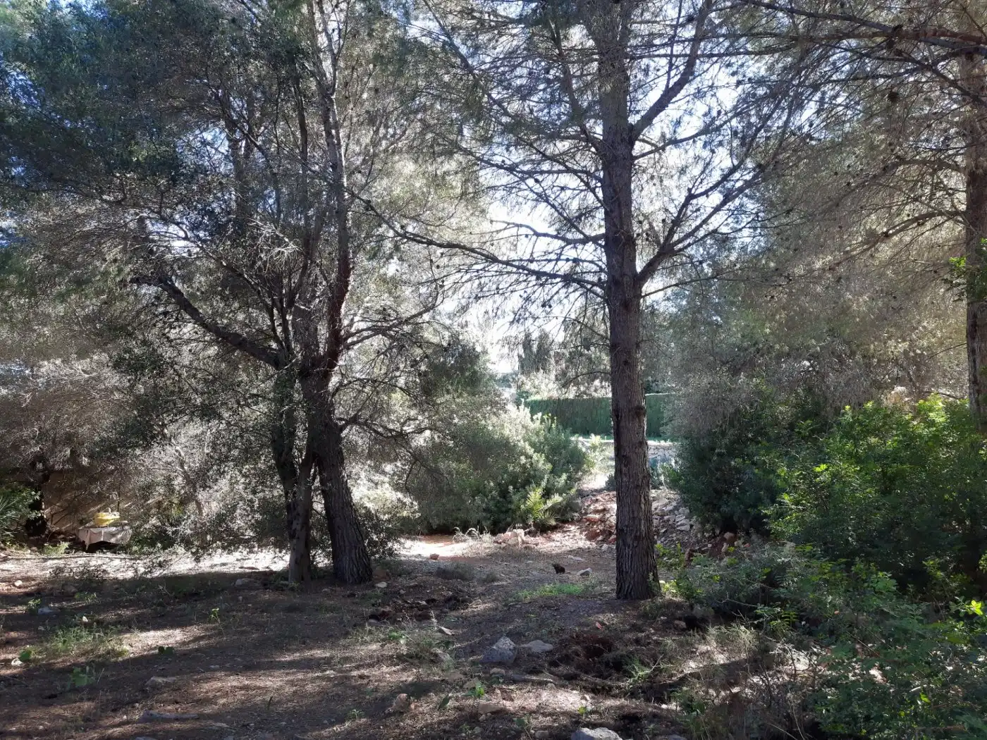 Grundstücke und Bauplätze zum Verkauf in El Montgó, imagen 17