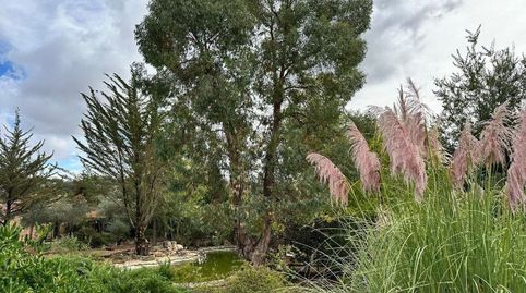Finca Rúst. en venta en Archidona, 5 dormitorios., imatge 3