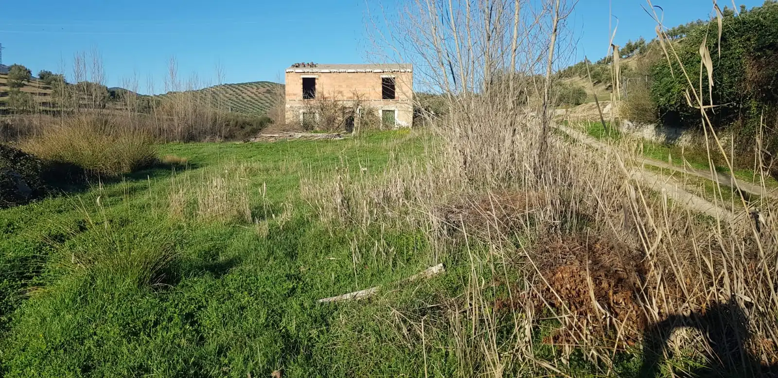 Terreni e lotti in vendita a Alcaudete, imagen 6