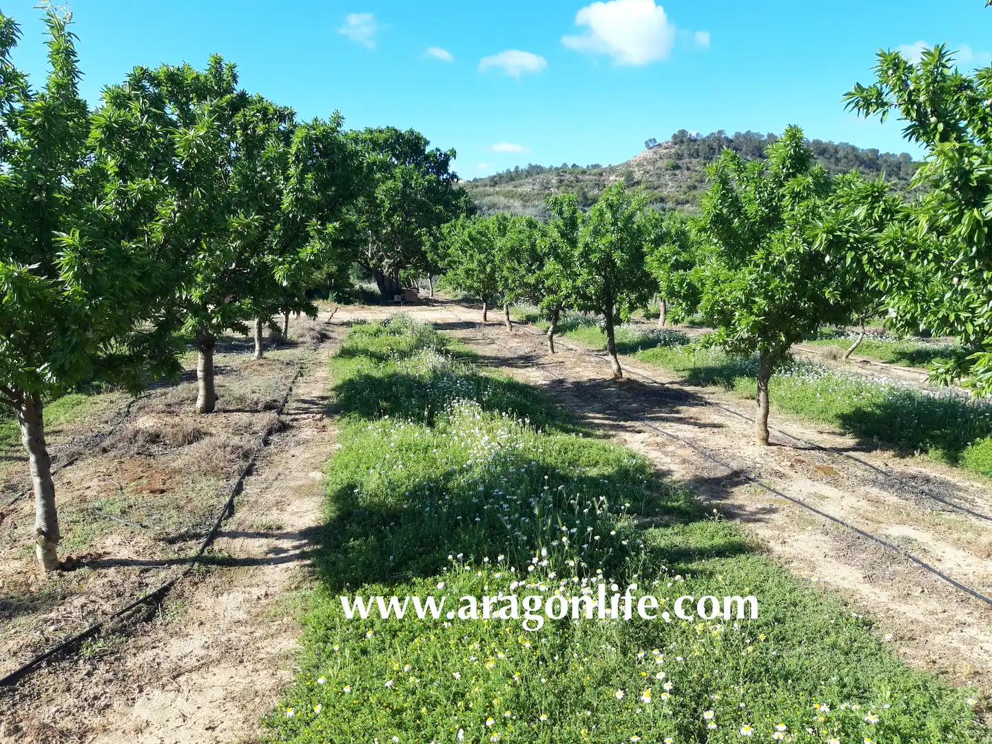 Casa rústica en venda a Calle Monjas, imagen 6