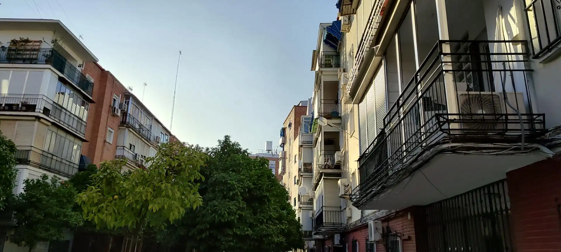 Pis de lloguer a JUNCAL (DEL), El Plantinar – Avda. La Paz - El Juncal