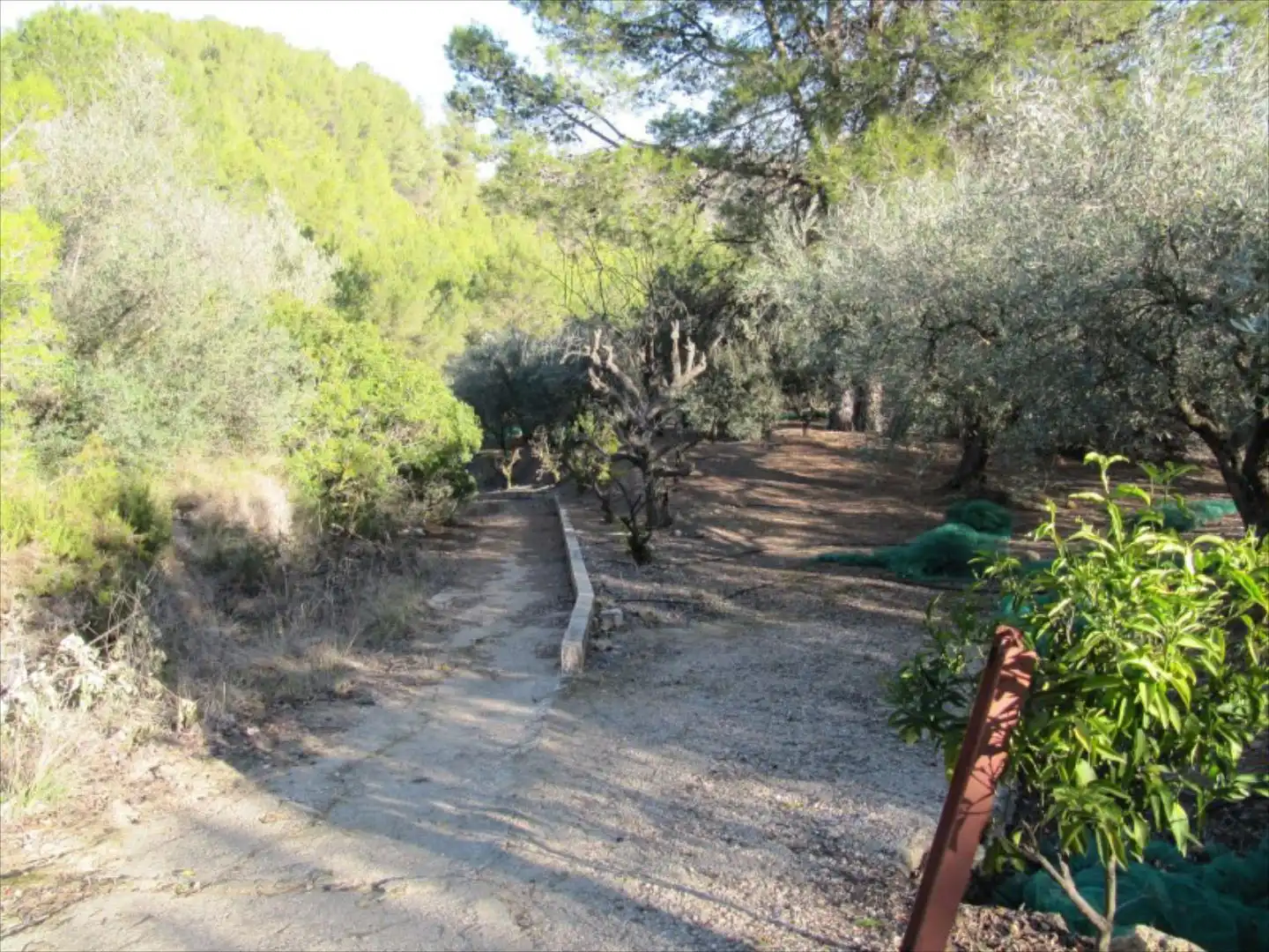 Residential for sale in Barxeta