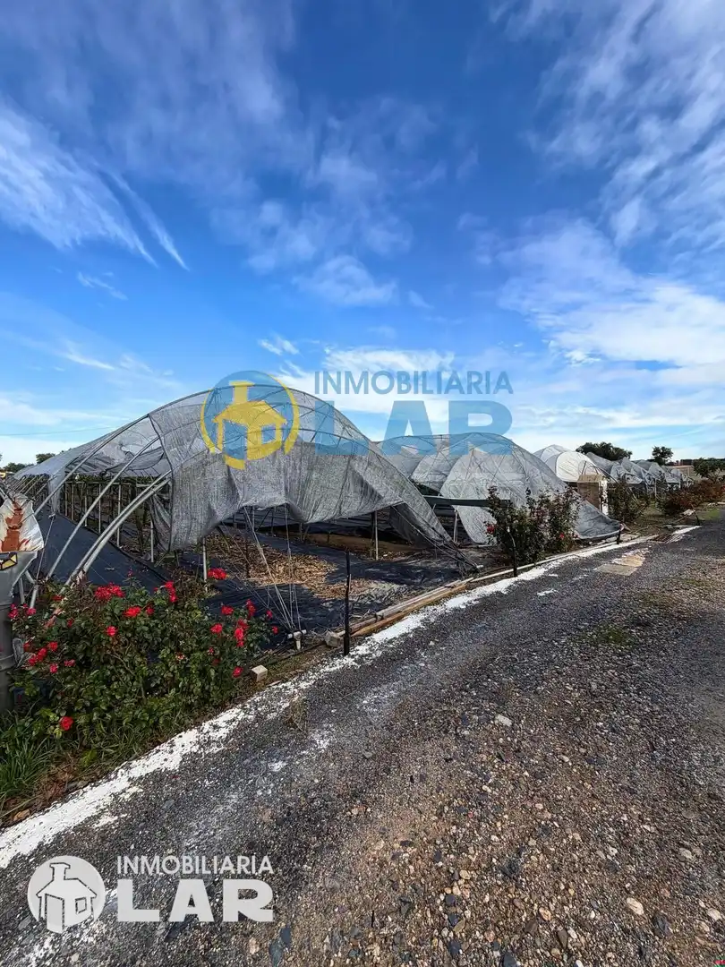 Terreno en venta en San Juan del Puerto