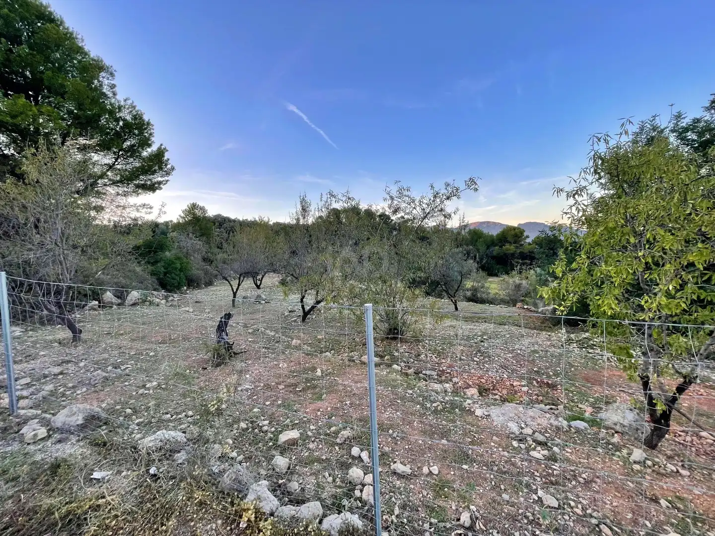 Residencial en venta en Murla
