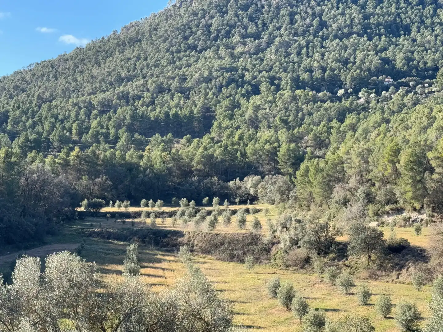 Terreni e lotti in vendita a Valderrobres, imagen 16