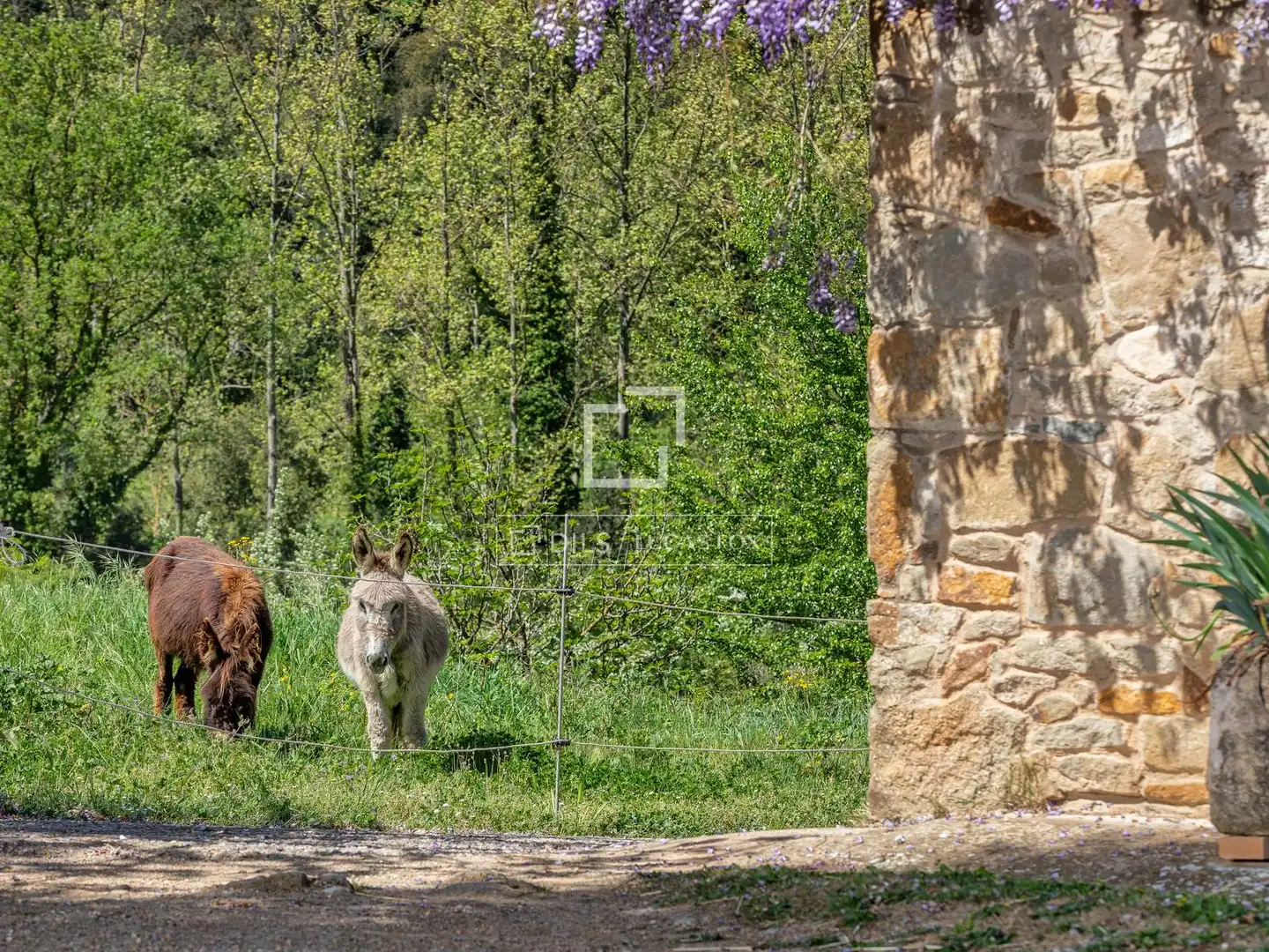 Jardí de Finca rústica en venda en Sant Martí Vell amb Calefacció, Jardí privat i Traster