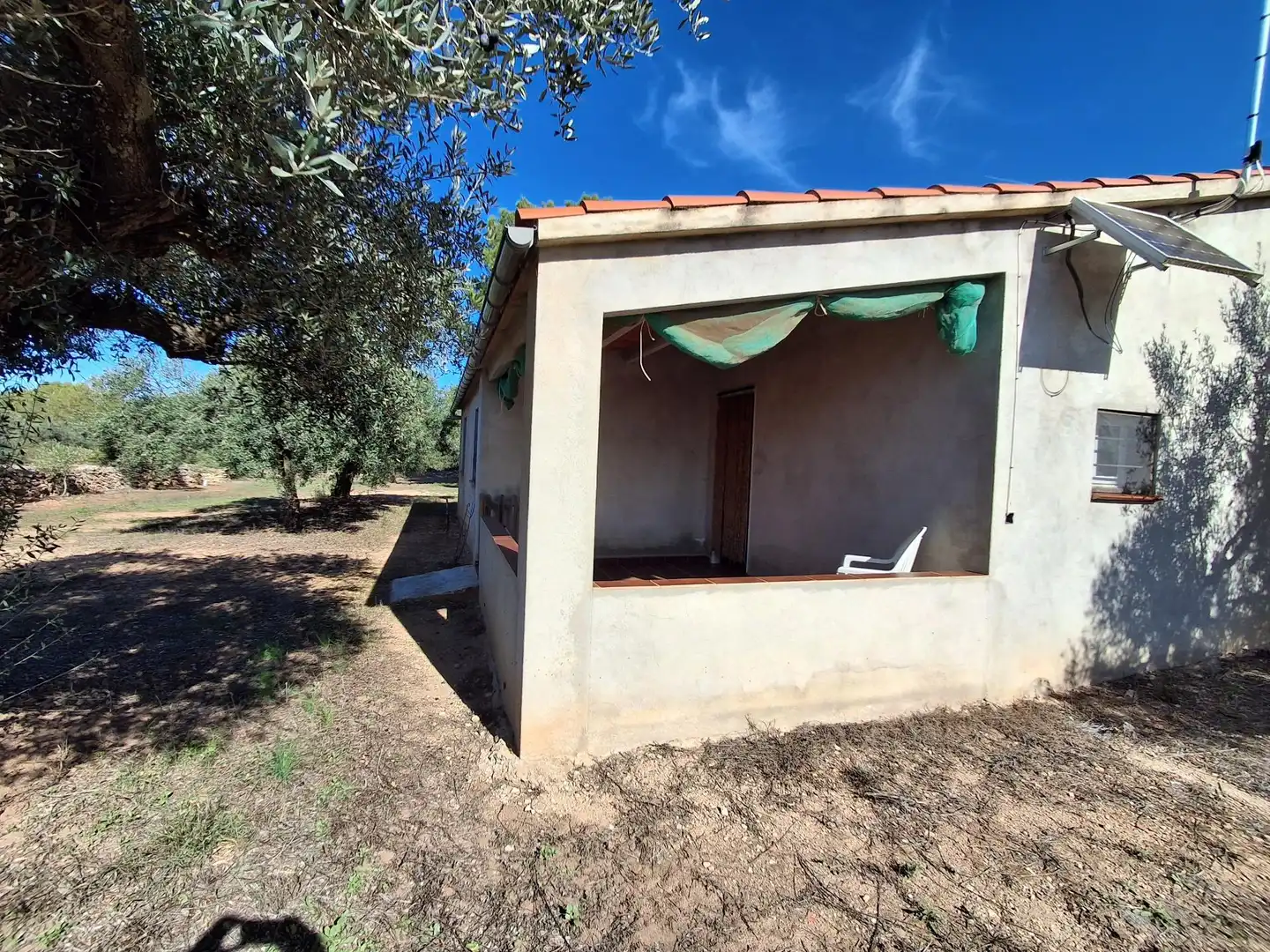 Terrain rustique à vendre à Polígono 6 Paraje 109 LAS PLANAS, imagen 12