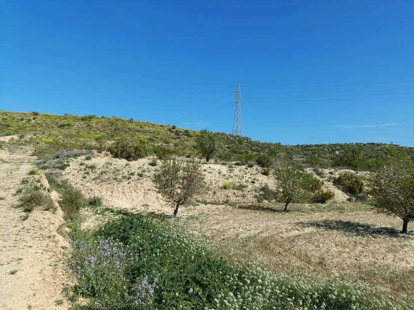 Terreno rustico in vendita a Alcantarilla, imagen 9