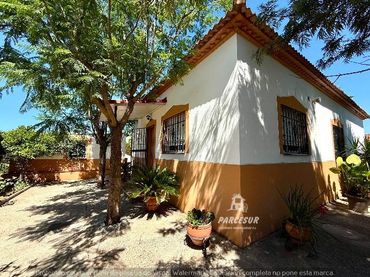 Casa amb piscina en venda a Almodóvar del Río