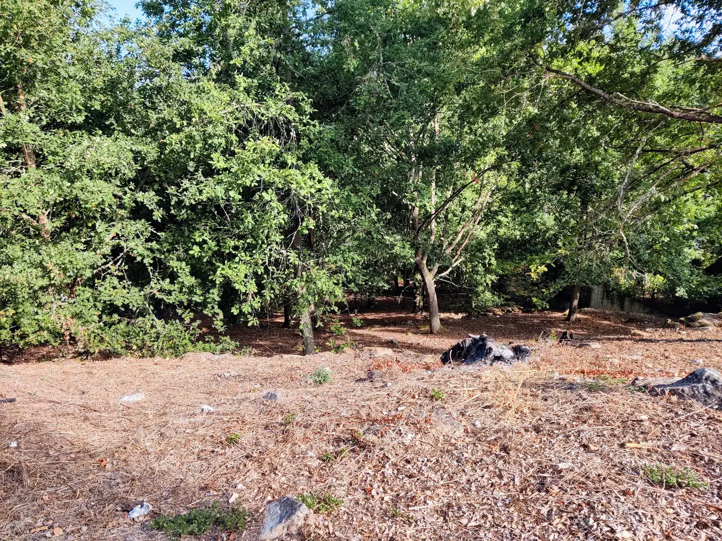 Residential land for sale in San Rosendo