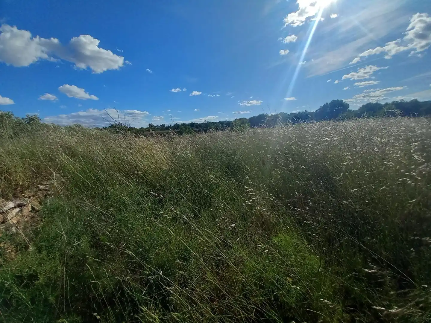Terreno rústico en venta en Garcia, imagen 40