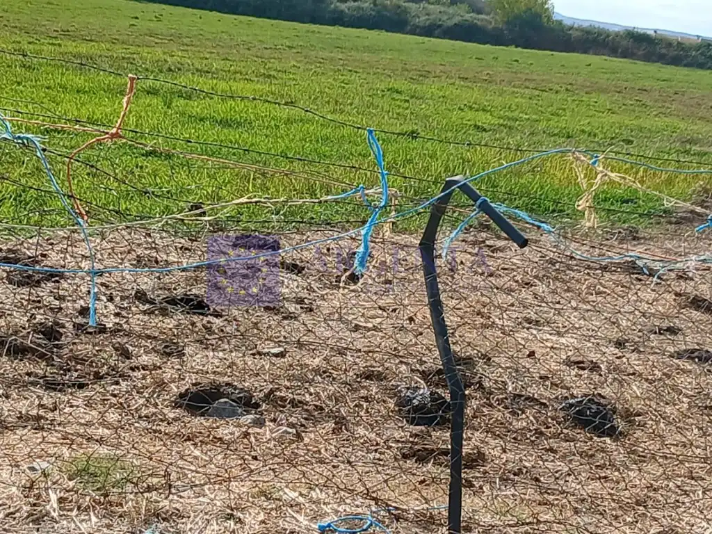 Casa o xalet en venda a Coria