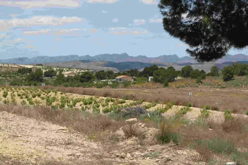 Villa avec jardin à vendre à Fortuna, imagen 53