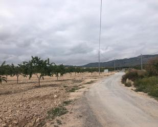 Land for sale in Mula