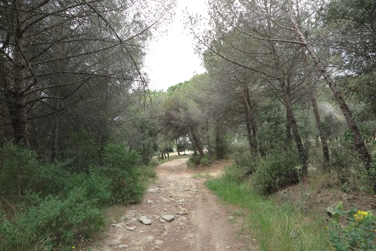 Grundstücke zum Verkauf in La Garriga