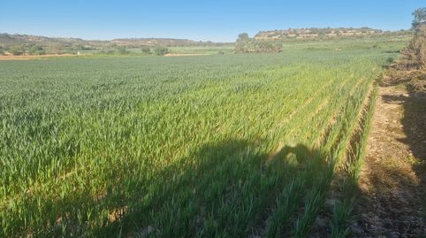 finca en venda a les Borges Blanques, sitauada a la zona de regadiu, dotació plena Segarra Garrigues, immagine 5