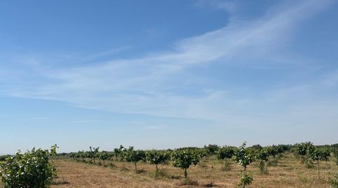 Finca Rúst. en venta en Ciudad Real., imatge 4