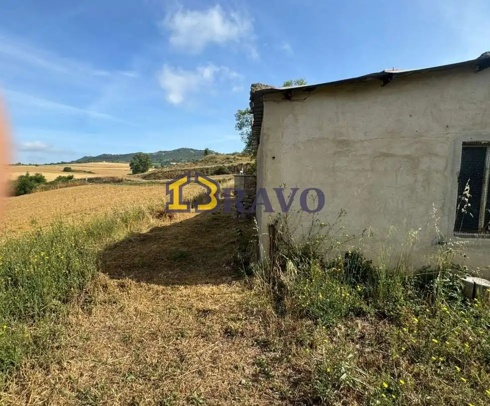 TERRENO CON CABAÑA EN VENTA VALLE DE TOBALINA, imatge 4