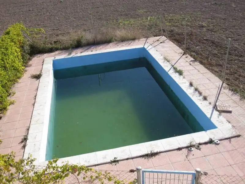 Piscina de Finca rústica en venta en Novelda con Amueblado
