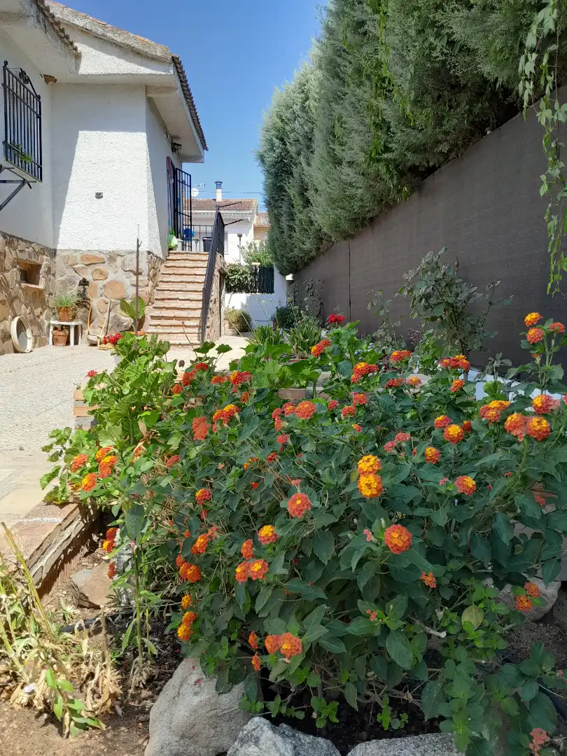 Jardín de Casa o chalet en venta en Cobisa con Calefacción, Jardín privado y Amueblado
