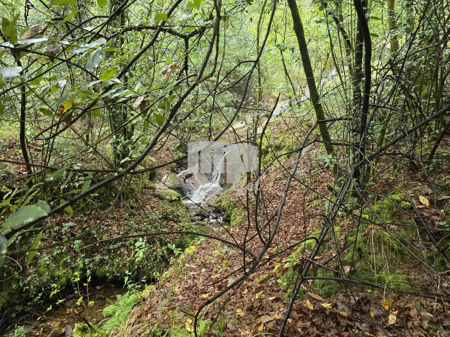 Finca rústica en venda en Mos