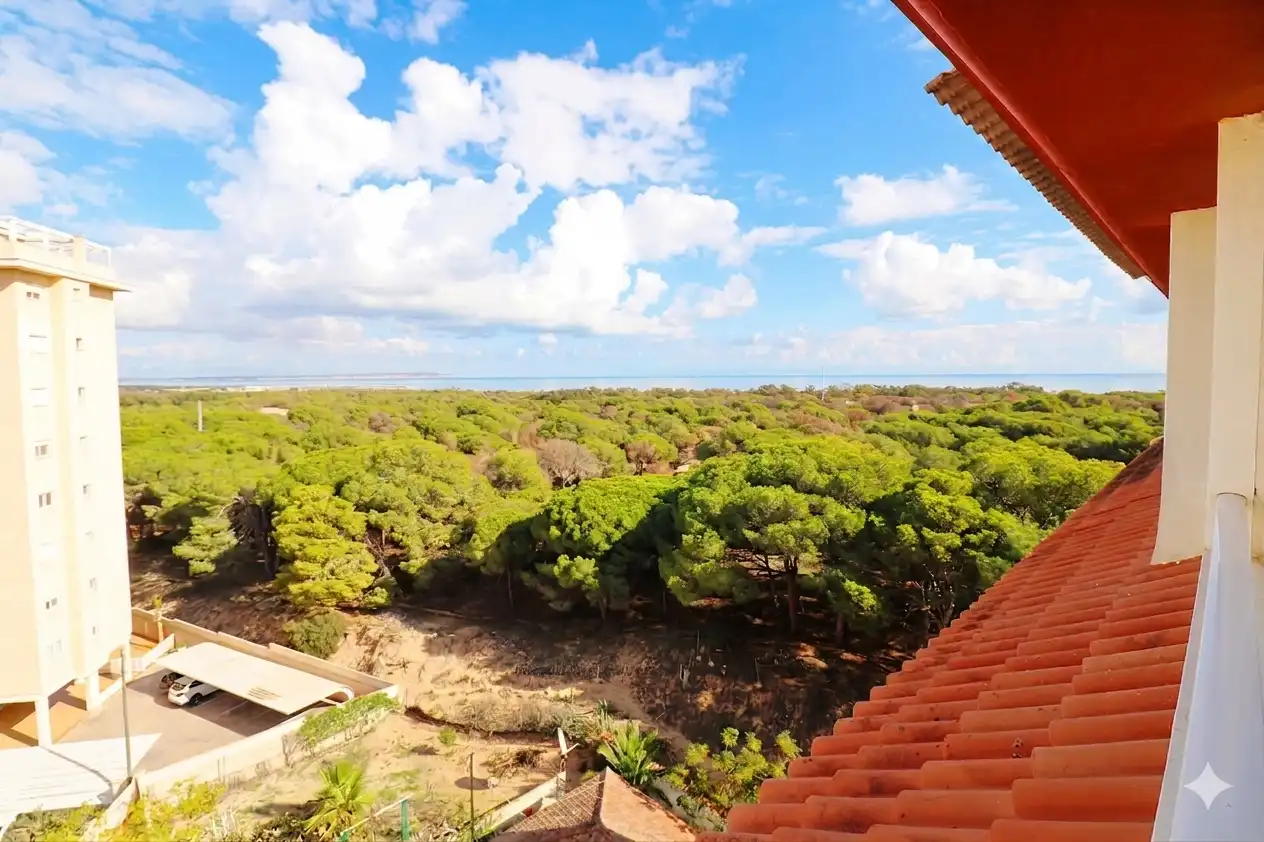 Vista exterior de Ático en venta en Guardamar del Segura con Aire acondicionado, Calefacción y Terraza