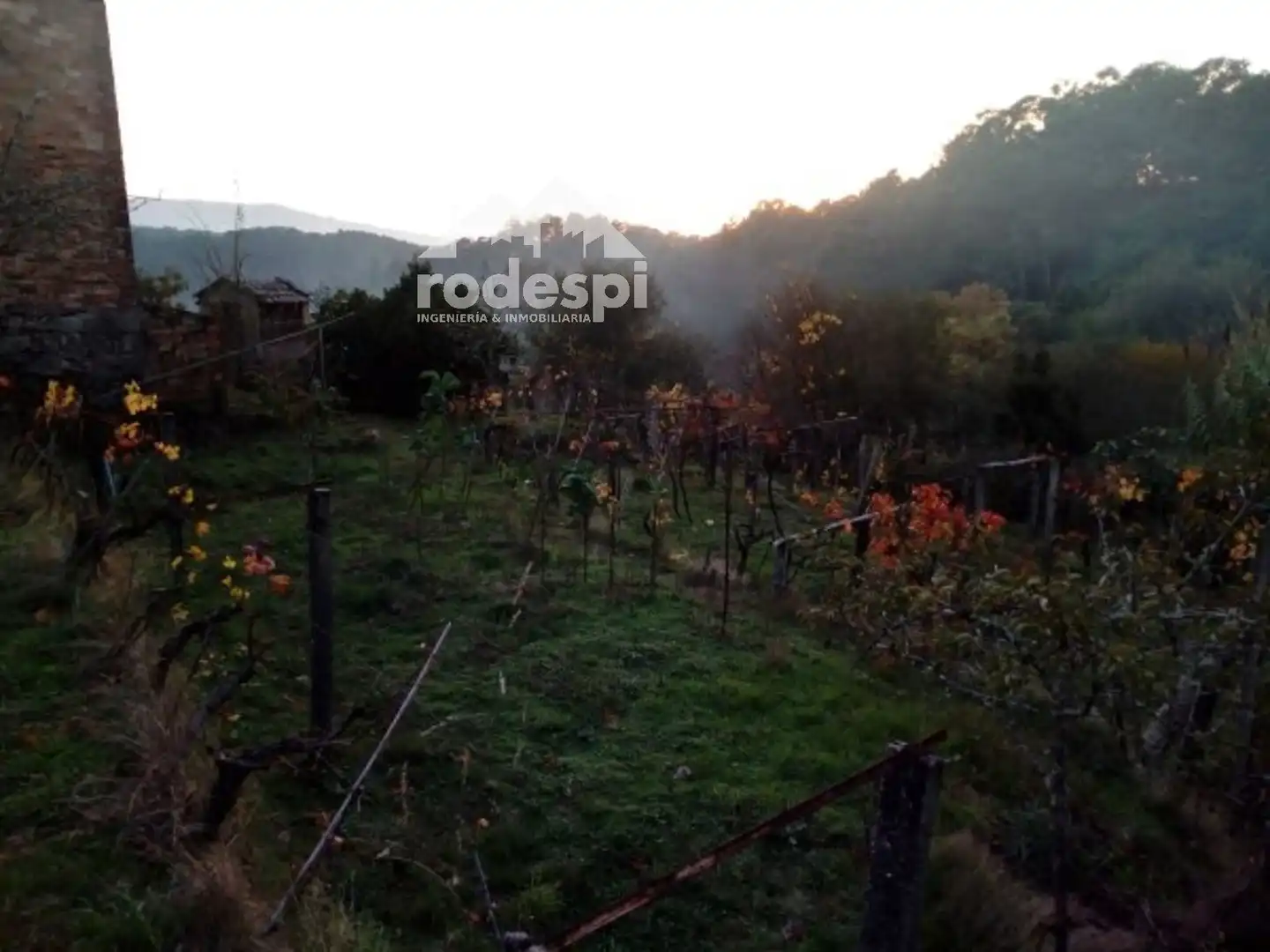 Casa o chalet en venta en Arbo