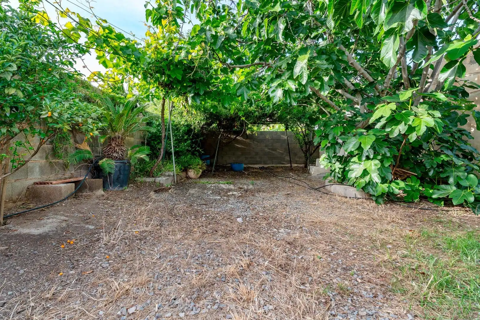 Casa o chalet en venta en Dalías con Jardín privado y Trastero