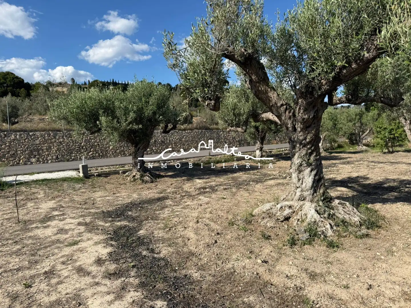 Terreno rustico in vendita a Altea ciudad, imagen 3