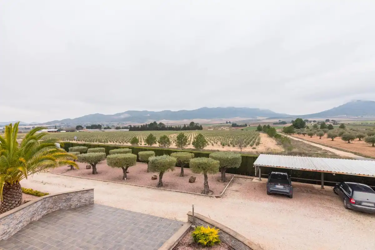 Jardín de Casa o chalet en venta en Yecla con Aire acondicionado, Calefacción y Jardín privado