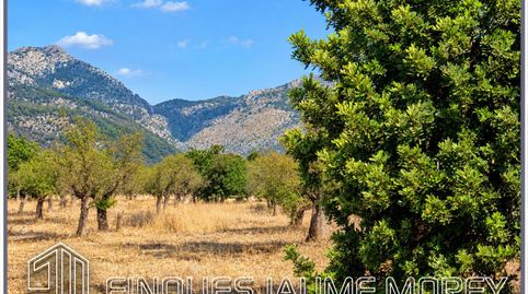 Finca rustica edificable en venta en Selva, imatge 3