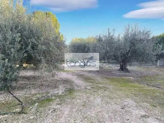 Terreny residencial en venda a Xàtiva, imagen 10